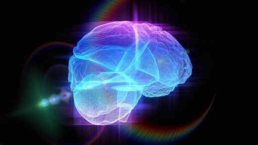 Cerveau Anatomie Humain La - Free video on Pixabay