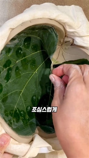 How to Imprint Leaf Veins onto Pottery