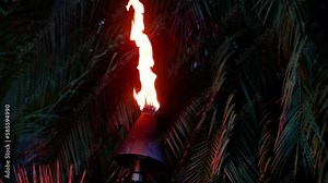 Tiki Torch shot in Hawaii at Night. Palm trees in the background.