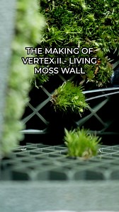 The making of a living moss wall terrarium via The Vertex II modular planting system with CryoMoss developed by TerraLiving. #behindthescene #terraliving #mosswall #mosswallterrarium #crymoss #moss #terrarium #asmr | TerraLiving