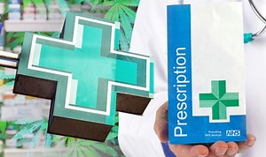 CBD: A look at how 'cannabis' oil is used in medications