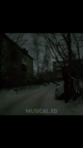 musical.XD on TikTok