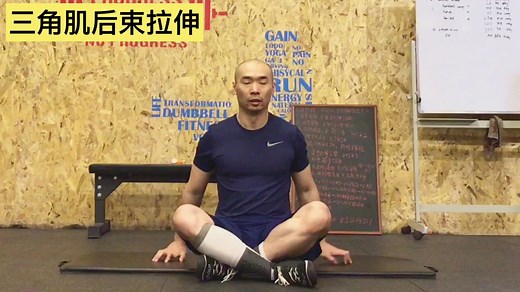 三角肌后束拉伸