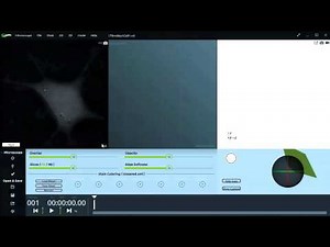 Learn how to use the 3D Cell Explorer in 1minute