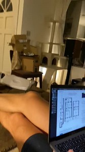 15 reactions | Meet Donut (#A1936416), our KTLA 5 News #petoftheweek...