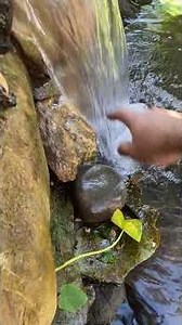DIY back patio pond with waterfall.