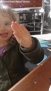 683K views · 8K reactions | "You made a friend!" Olivia and her dad found a dying bee and nursed it back to health. To their surprise, it came back, and appears to be waving at young Olivia! https://abcn.ws/2DWeAR9 | ABC News | Facebook