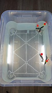 New fishing technology #fishing #fishinggear #fishingaccessories #fishingtime #fishingvideos #fishinglife #fishingtackle #fishing #fishingtipshingtips #fishingaccessories | Thewishingrod.com