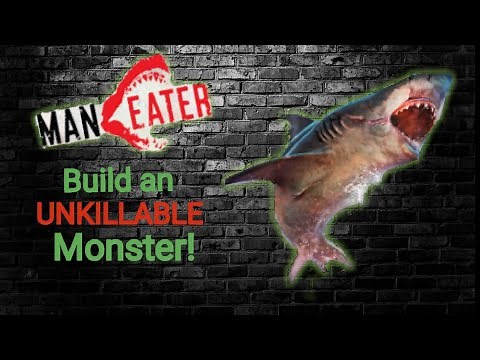 Maneater - Guide to Build an UNKILLABLE monster Shark! PS5