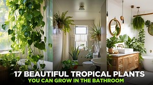 Bathroom-friendly tropical plants that are easy to grow