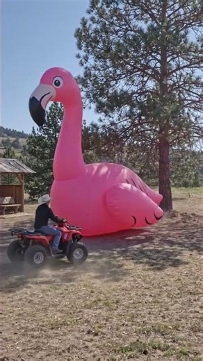 Giant Flamingo Jump Scare #shorts #funny #fail