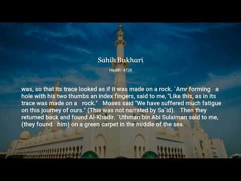 Sahih Bukhari, Hadith: 4726, Prophetic Commentary on the Qur'an (Tafseer of the Prophet (pbuh))