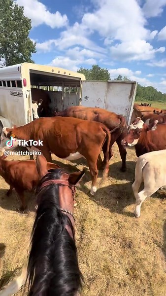 Matt Chuiko on TikTok