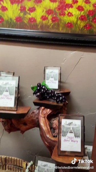 Welcome to Twisted Barrel Winery in Lodi, California! #fyp #Lodi #SupportLocal #TwistedBarrelWinery #Wine #Winery #WineCountry #WineTasting