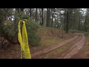 Hiker in Colorado killed in suspected mountain lion attack