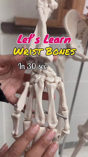 Understanding Hand Anatomy for Therapists