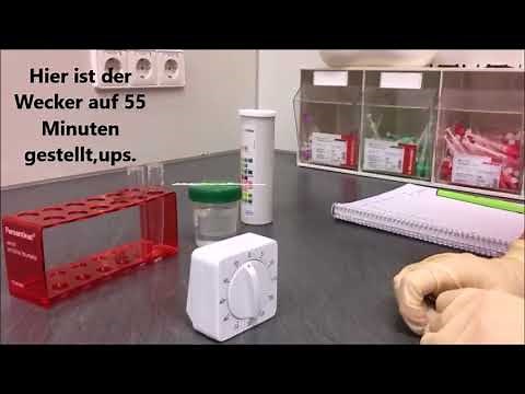 Urinstix Combur 9