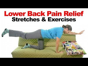 Quick and EASY Lower Back Pain Relief Stretches!