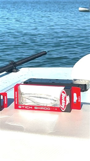 The @berkleyfishing Stick Shadd is one of my favorite lures to throw because of how versatile it is. It comes in a floating and suspending version which is great for many different fishing applications. Check it out at https://alnk.to/apW4m3Y or at Store.RMmedia.com in the Tackle section. | Captain Rick Murphy