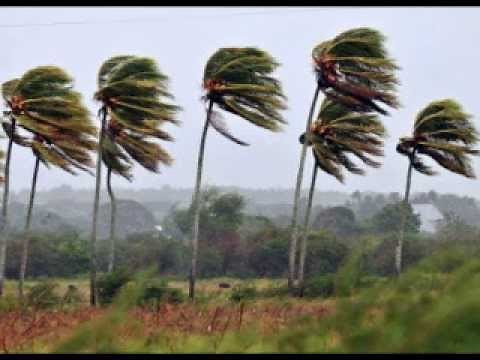 SUONO DEL VENTO (Video n° 2)