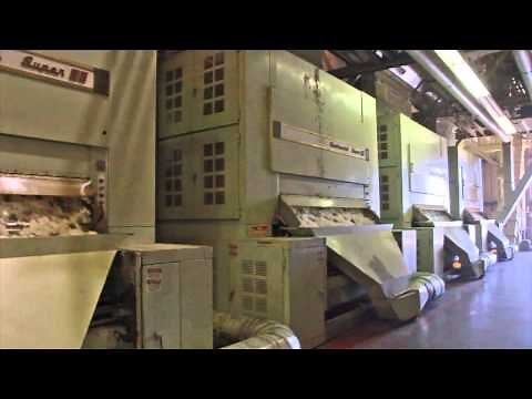 Where does cotton come from?