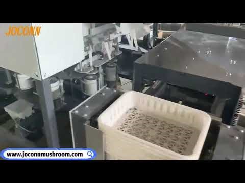Fully Automatic Mushroom Substrate Bagging Machine with Collar Forming and Stick Insertion