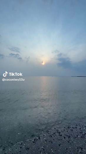 フリー素材で楽しい海の映像を楽しもう！