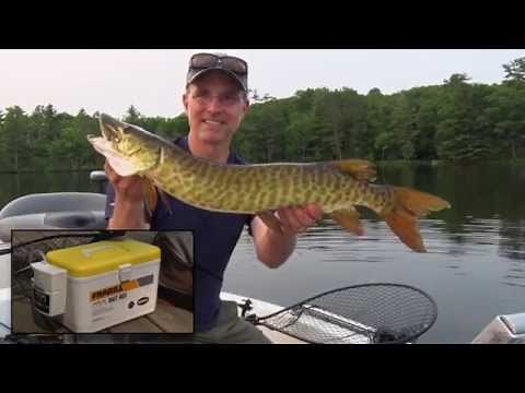 Frabill Aqua-Life Bait Box | Fishing tips | The Technological Angler