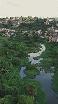 Capibaribe: O rio que moldou Pernambuco! 🇧🇷