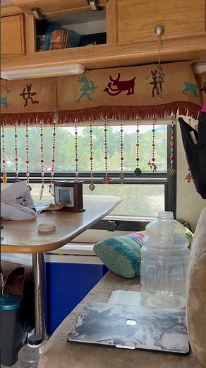 Donkey Race at My Campsight