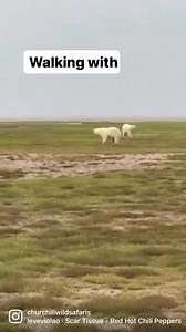 1.8K views · 177 reactions | We have welcomed our first guests on the...