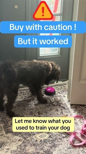 Dog Talking Buttons for Potty Training (Do They Work?)