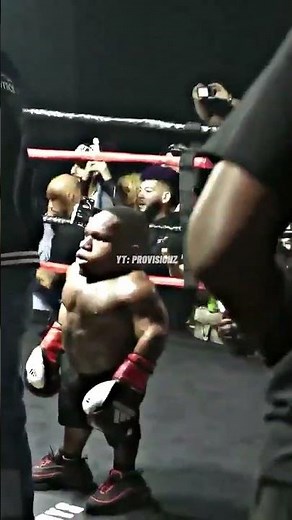 Midget Boxing Match
