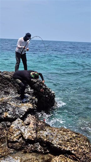 Cuma Ikan Barakuda: Cicip Rasa dan Tips Mancing