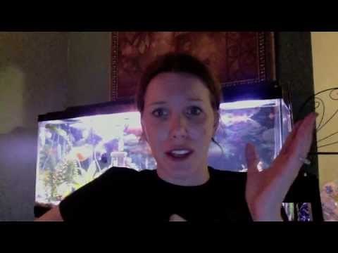 Final Affordable Dentures Update