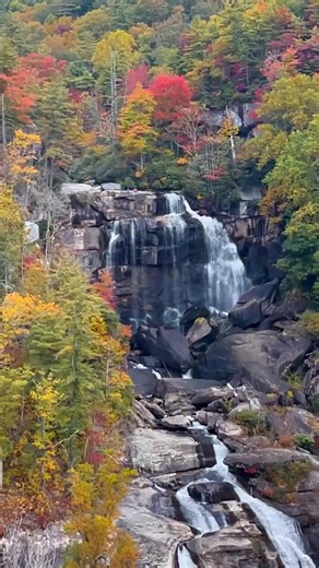 Upper Whitewater Falls is the highest waterfall east of the Rockies. This was a favorite visit a few years ago. We got there just before sunset and didn’t see another person the whole time. #godscreation #waterfalls #autumnleaves #waterfalls #ncwaterfalls #northcarolina #wnc | wildwoodblessing