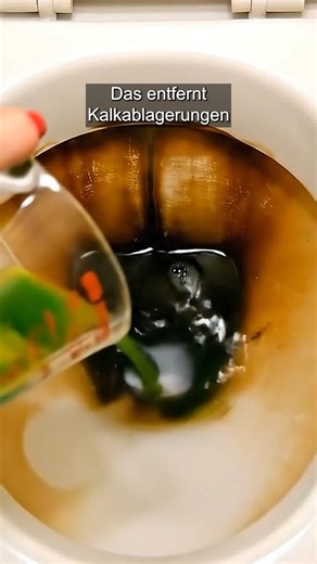 So leicht habe ich Kalk in der Toilette noch nie entfernt 🚽 | Schlaue Tricks