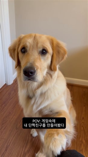 MakeCode가 이렇게 댕좋을 줄 알았던 사람? (저흰 알고 있었어요!) 🤭🐶 초보자도 손쉽게 코딩을 시작할 수 있는 Microsoft MakeCode에서 직접 나만의 게임과 세계를 만들어보세요! | Microsoft Developer