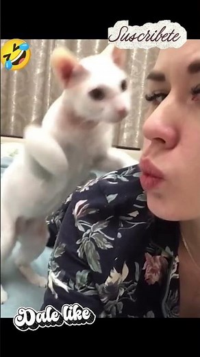 Mas bloopers divertidos y graciosos de animales