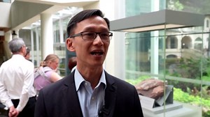 Hong Kong's first dinosaur fossils, likely from large dinosaur, go on display