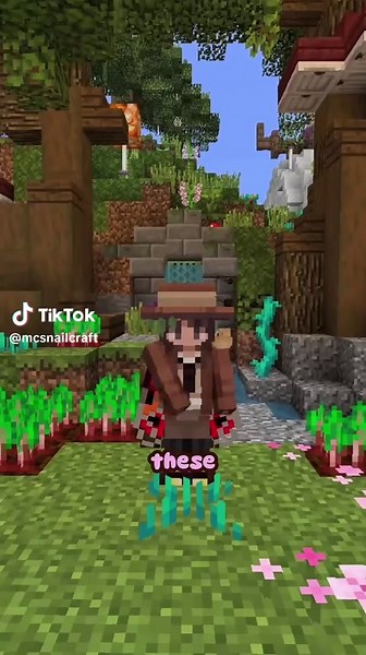 And so many more rares available on Snailcraft! Come join our Minecraft server using this Java/Bedrock IP: play.snailcraftmc.com Port: 19132 #minecraftservertojoin #minecraftserver #minecraftjava #minecraftbedrock #fyp