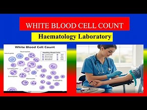 WHITE BLOOD CELL COUNT test - Definition , Uses , Need , Preparation , Results , Normal Values