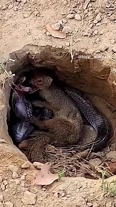 Untouched Wilderness A Glimpse into Nature's Majesty #UntouchedWilderness #NatureMajesty #ExploringN_R | Academia Ritmos Mix