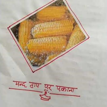 B . A 1st Semester Home Science (Practical File)