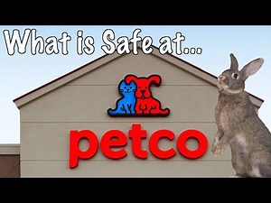 Safe Rabbit Products at Petco!