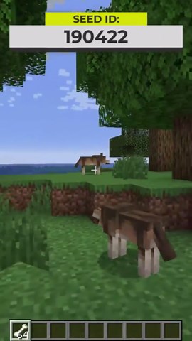 3 Epic Minecraft Wolf Seeds – New Wolves Variant in Forest Biomes