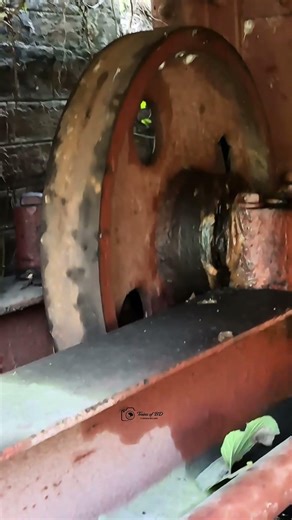 Trun table jam wheels. #shorts #jam #wheels