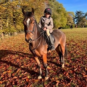 1.8K views · 19 reactions | CRACKING PONY CLUB & HUNTING PONY 14hh,...