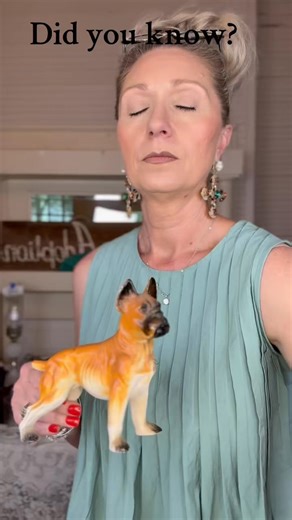 15K views · 451 reactions | “Did you know the Boxer dog was once a war hero? Originally bred in Germany, these strong, loyal pups served bravely during WWII—and stole the hearts of American soldiers!  After the war, they came home not just as pets… but as icons. #WWIIHistory #BoxerDog #AntiqueFacts #HistoryTok #DidYouKnow #VintageVibes #MilitaryHistory #AntiqueAdoption” | Antique Adoption | Facebook