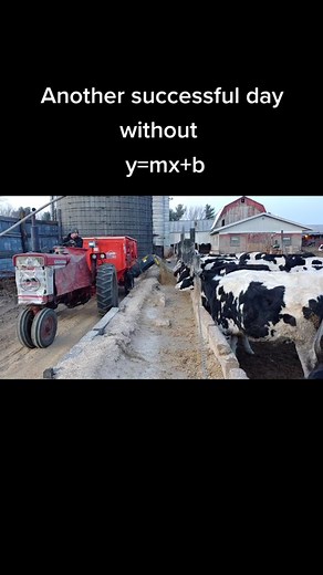 Exploring Farm Life Through Cattle Ranching